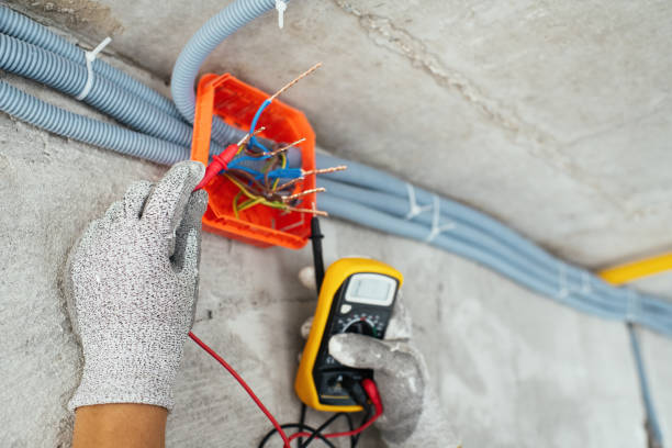 Best Licensed Electrician  in Delevan, NY