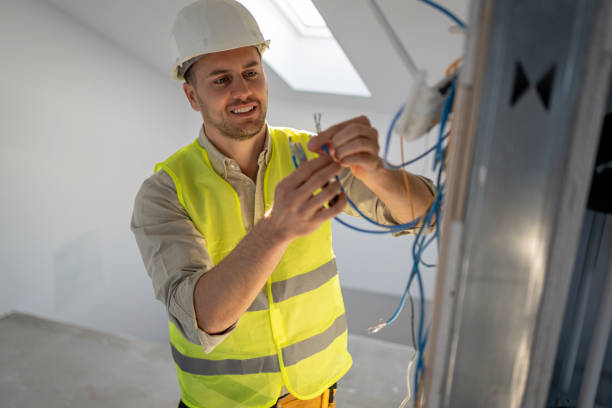 Best Electric Panel Repair  in Delevan, NY