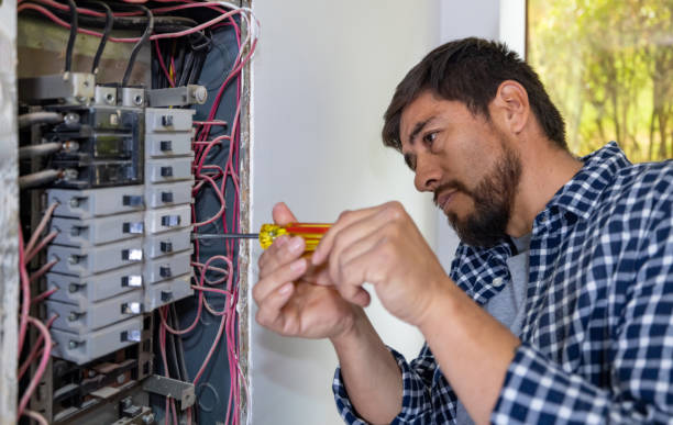 Best Ceiling Fan Installation Electrician  in Delevan, NY